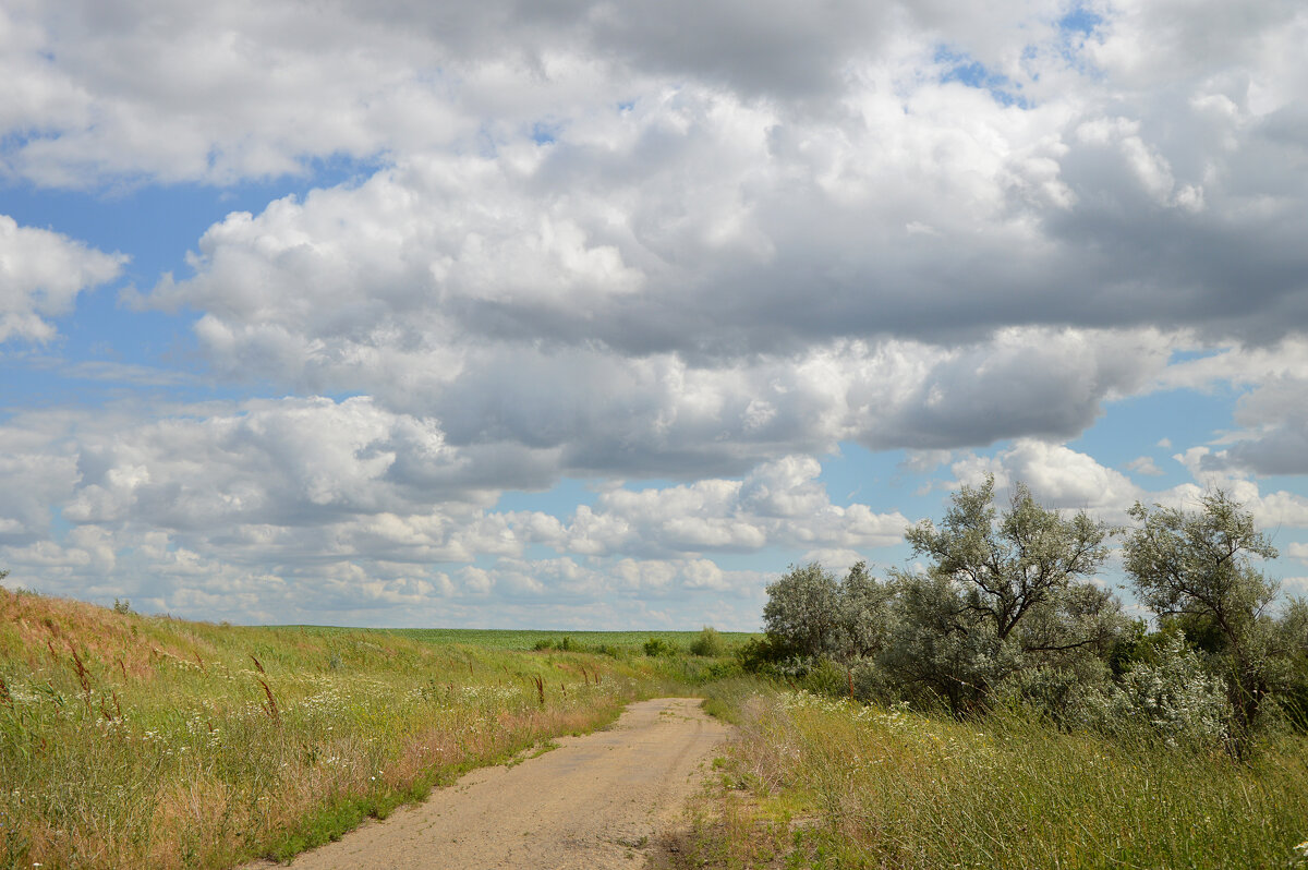 Летний день... - Надежда Куркина Летний день... - Надежда Куркина