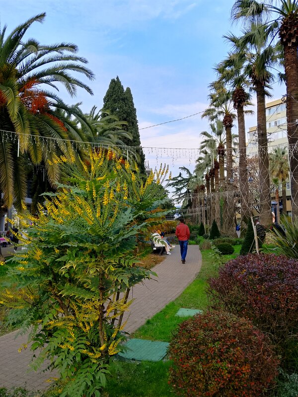 Сочи. Навагинская - Tata Wolf