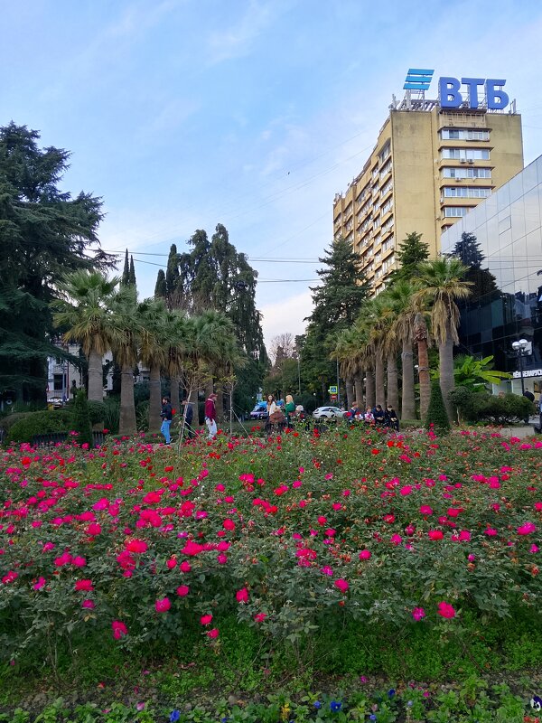 Сочи. Навагинская - Tata Wolf