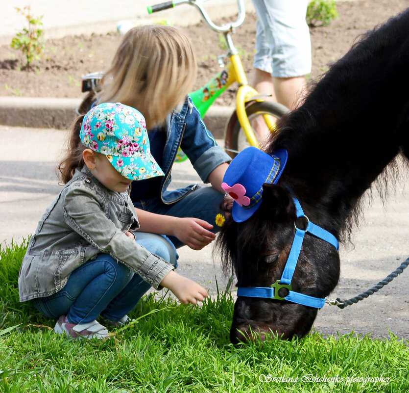 ... - Светлана Ищенко