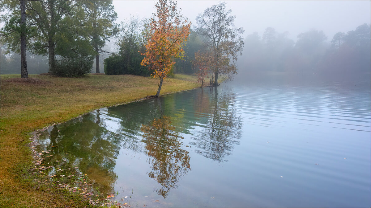 Утро - **** vedin