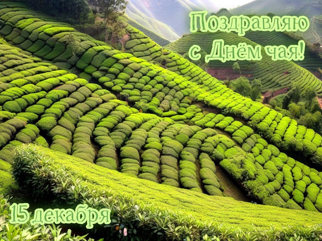 С Днём чая! - Валерий Иванович С Днём чая! - Валерий Иванович