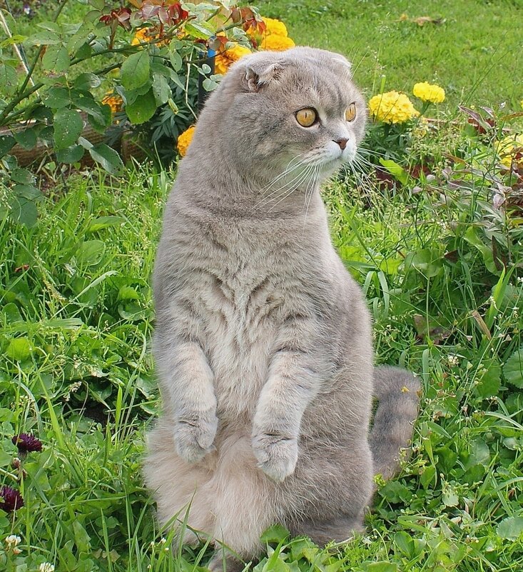 На посту! - Галина Нестратова На посту! - Галина Нестратова