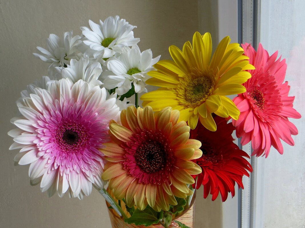 Букет с герберами - Татьяна Смоляниченко