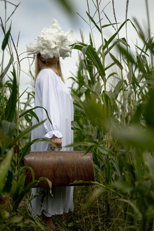 * - Нина Зорич