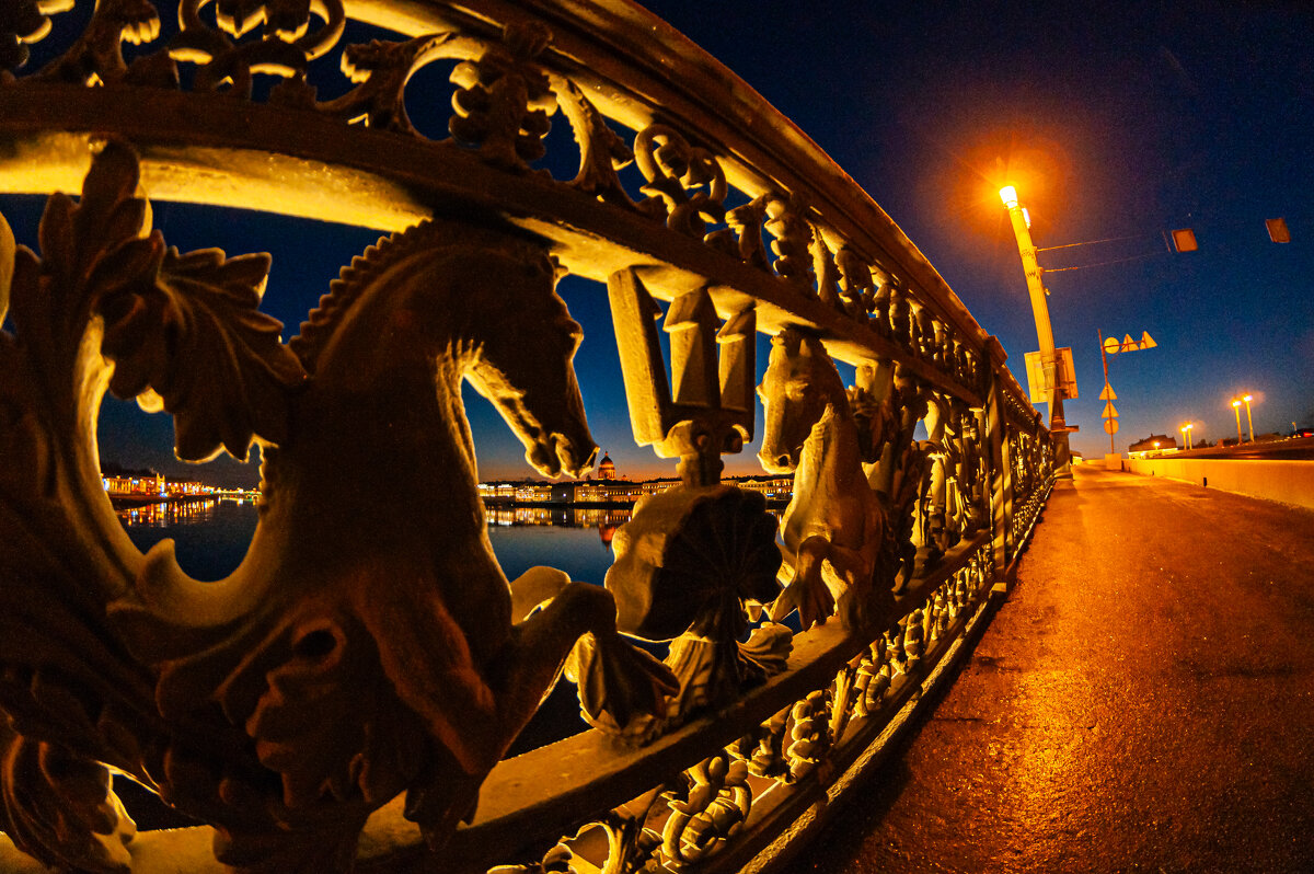 Решётка моста Лейтенанта Шмидта - Олег Загорулько Решётка моста Лейтенанта Шмидта - Олег Загорулько