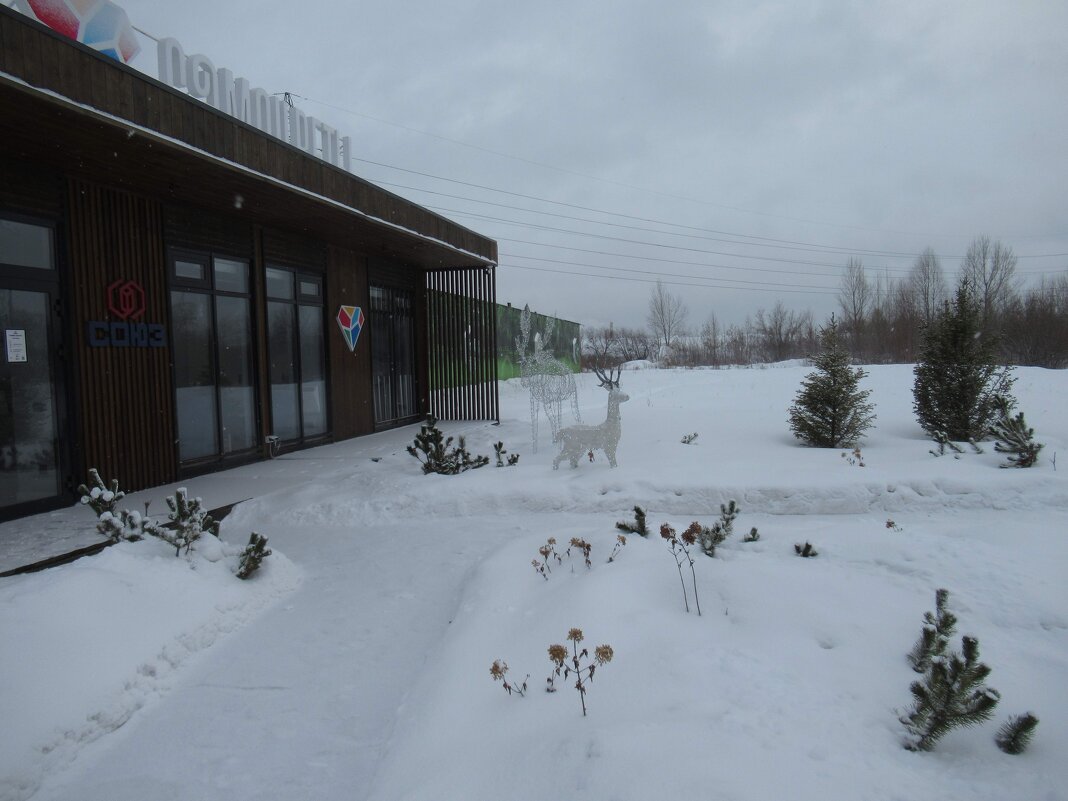 Олени днем - Андрей Макурин