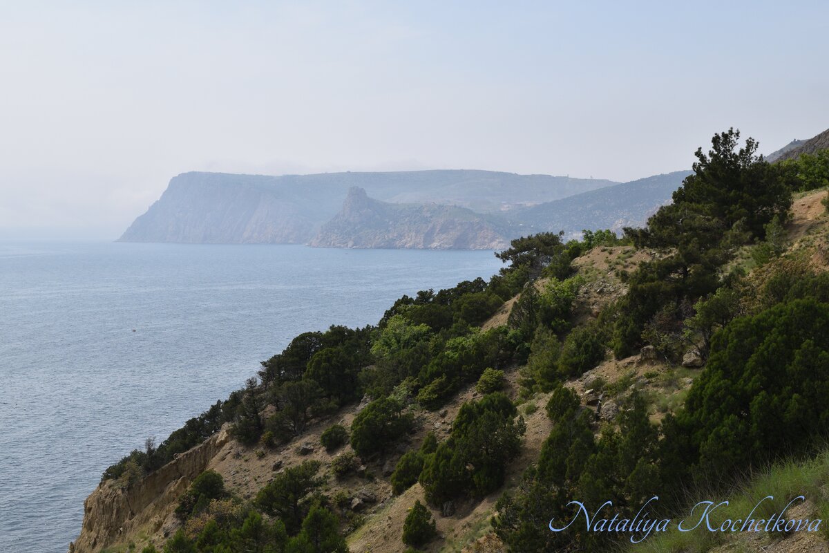 Природа Крыма - Amazing Cosmea Природа Крыма - Amazing Cosmea