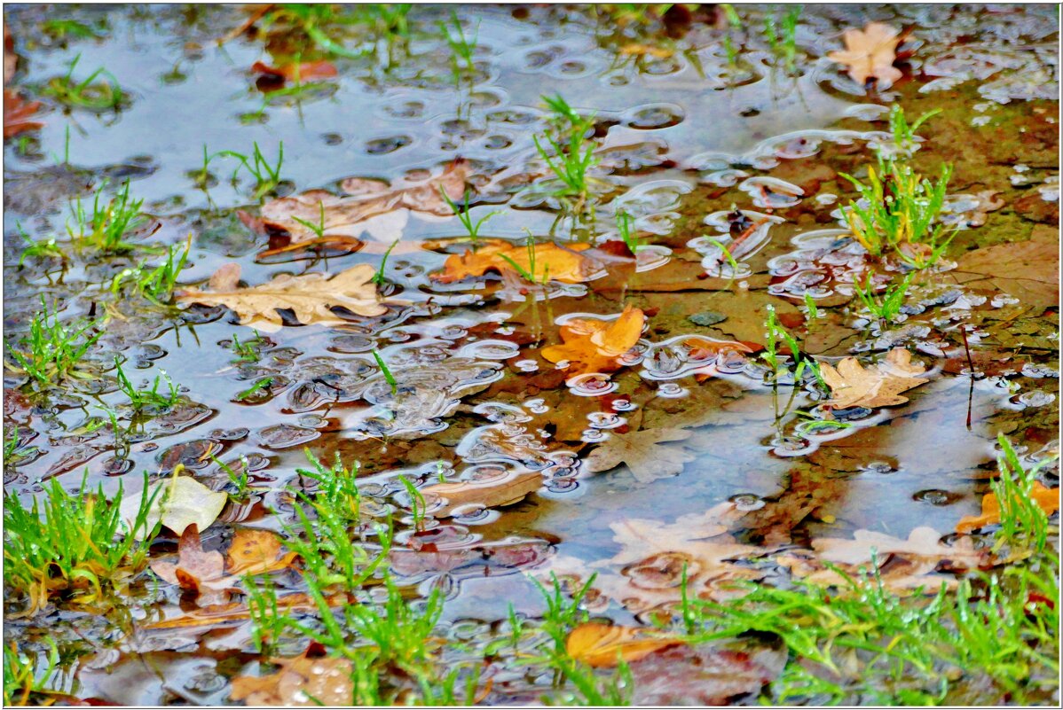 ЭТЮД... - Elvira E. ЭТЮД... - Elvira E.