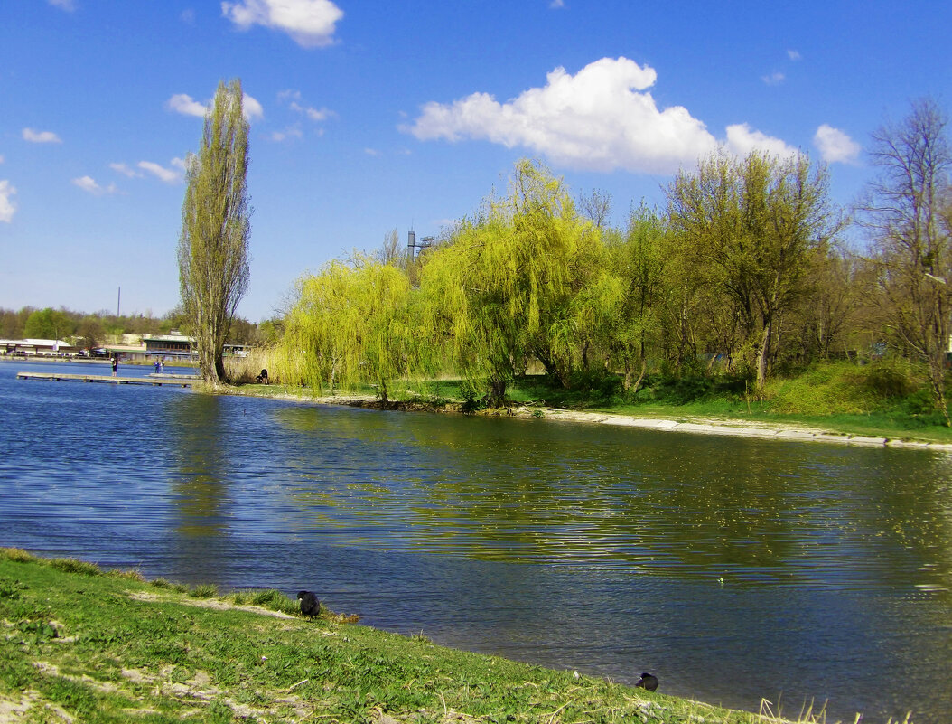 Весенний пейзаж - Валентин Семчишин Весенний пейзаж - Валентин Семчишин
