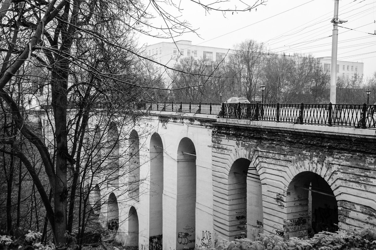 ____ - Галина Ложечникова