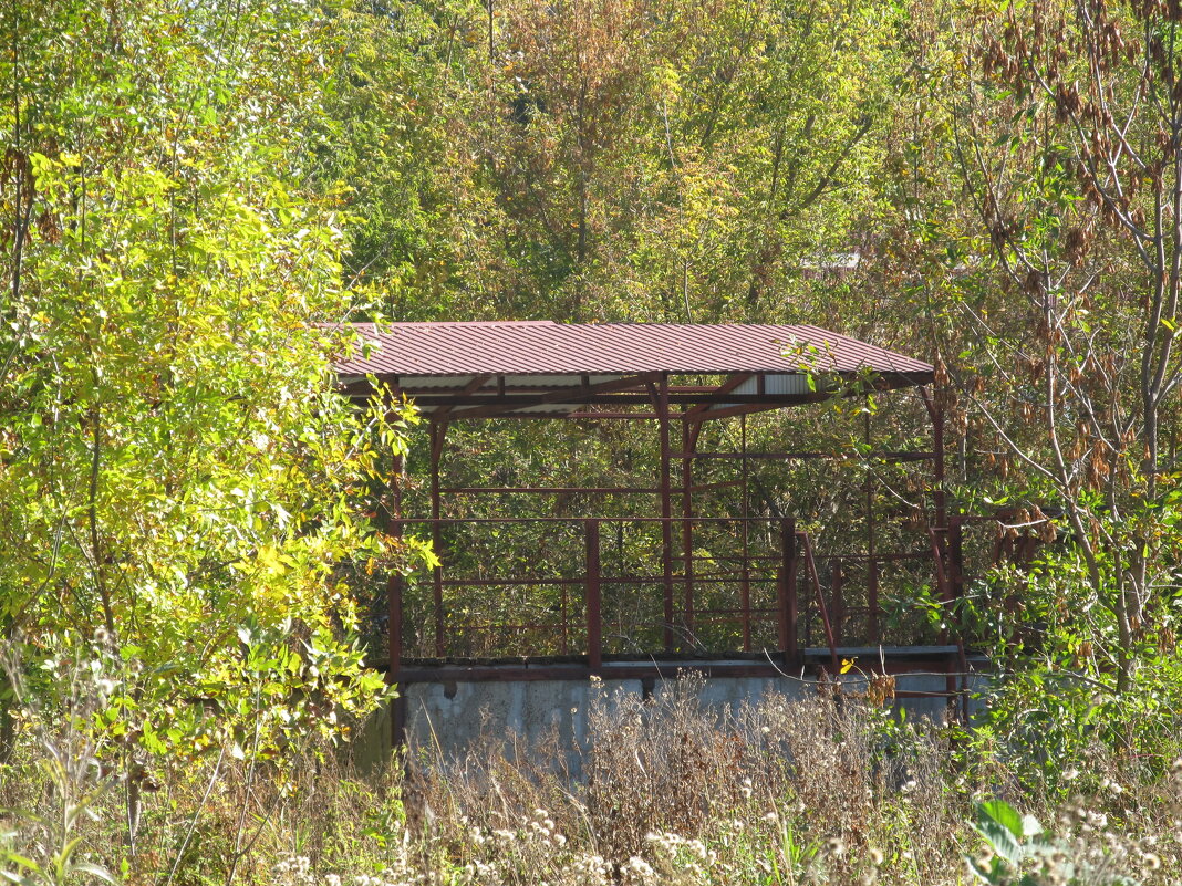 люди ушли. пришли деревья - Елена Шаламова люди ушли. пришли деревья - Елена Шаламова