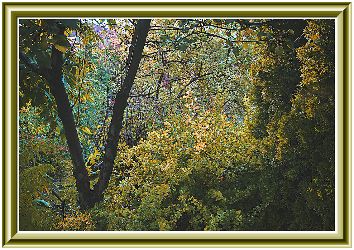 Осенняя зарисовка - Владимир Кроливец