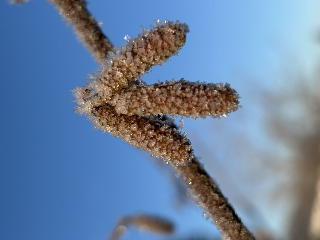 Стрелка - Ольга Савельева Стрелка - Ольга Савельева
