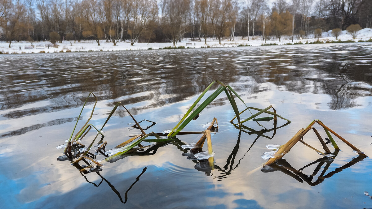 ***** - юрий поляков