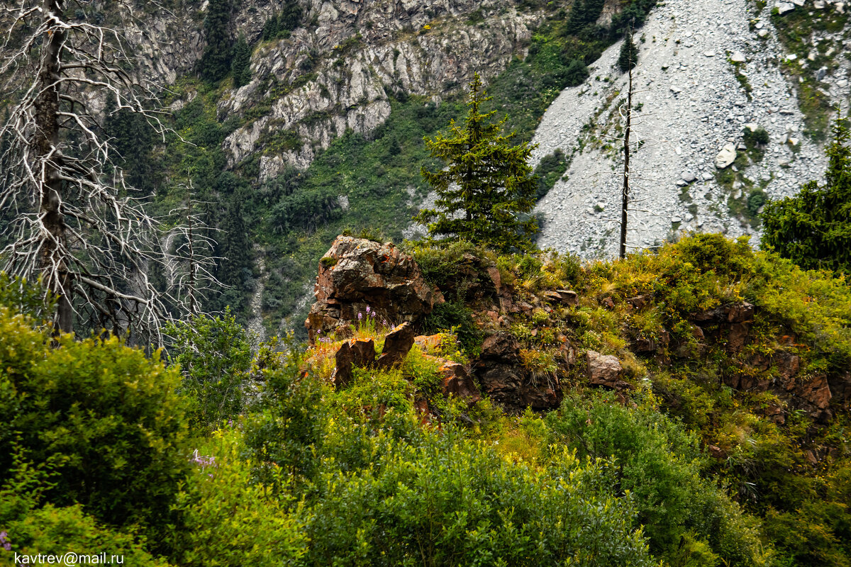 СНОВА БАК - HART BAD