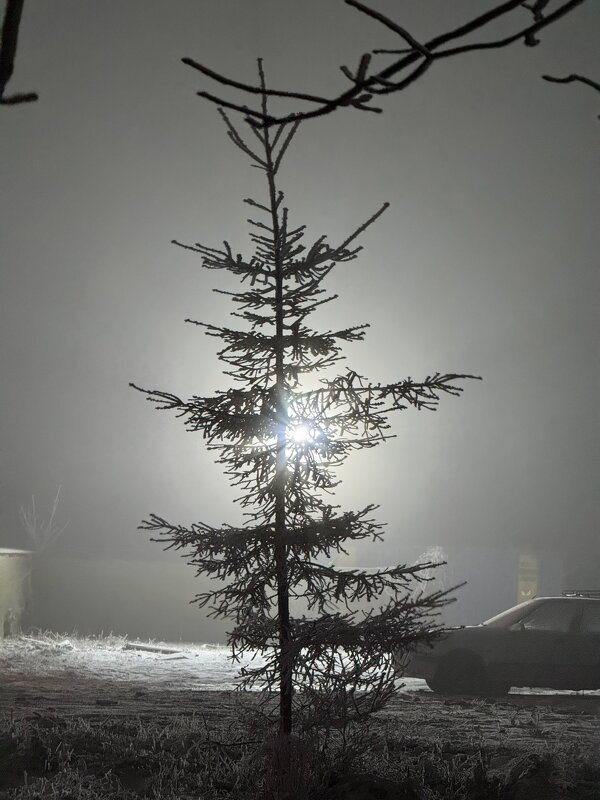 *** - Яна Горбунова