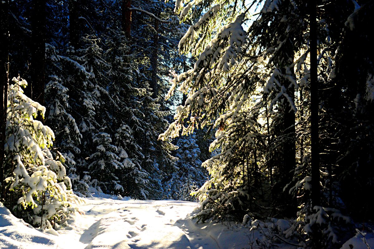 *** - Александр 