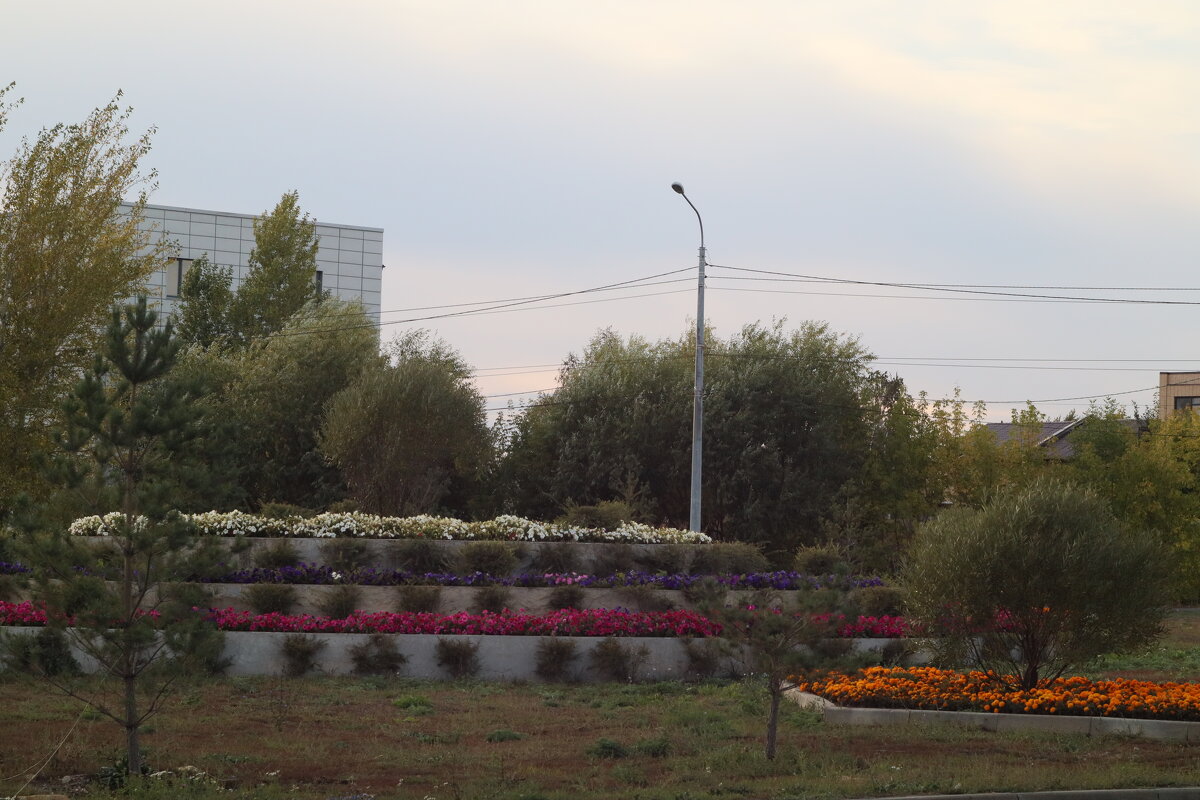 В городе - Дмитрий П