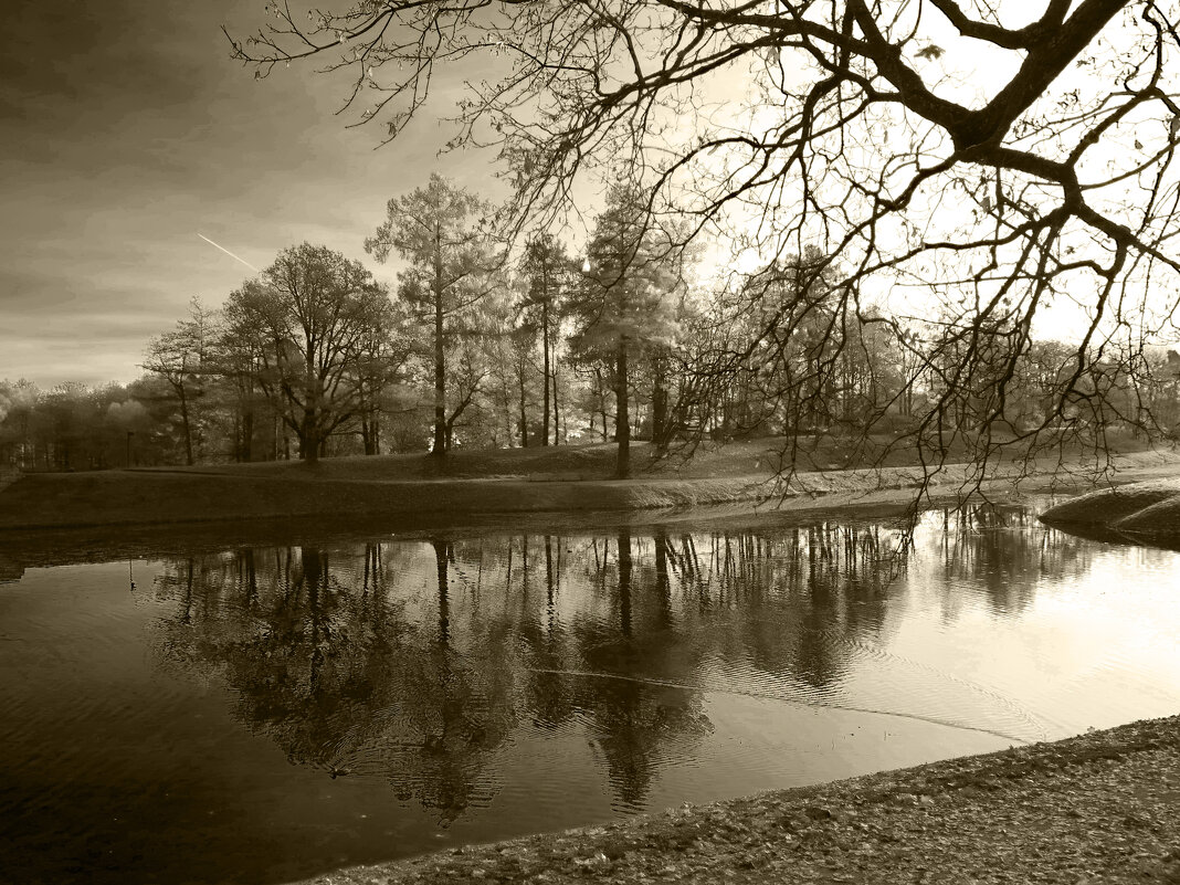 В парке - Наталья В парке - Наталья
