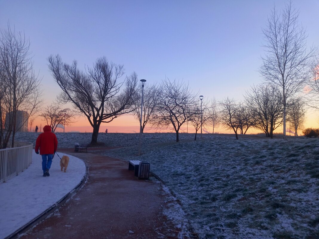 Рассвет - Сапсан 