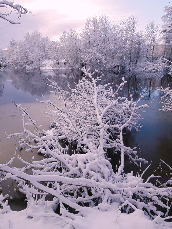 Зимний день - Сергей Кочнев