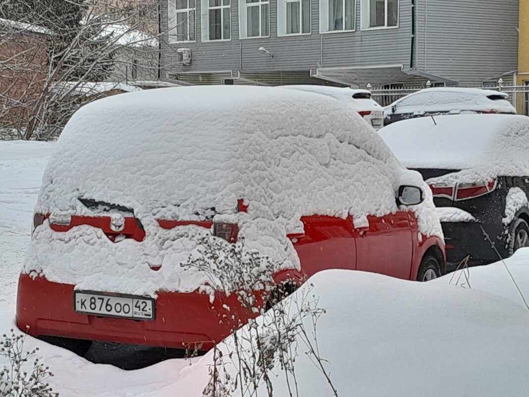 Подснежники - ирина 