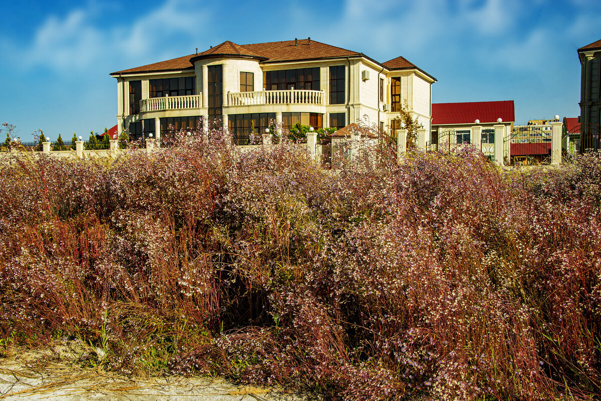 Актау - Анатолий Чикчирный Актау - Анатолий Чикчирный