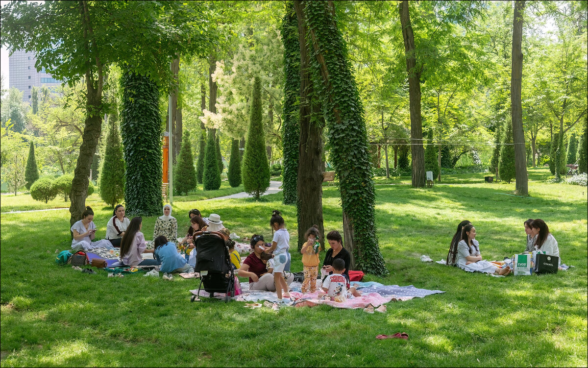 В парке - **** vedin В парке - **** vedin