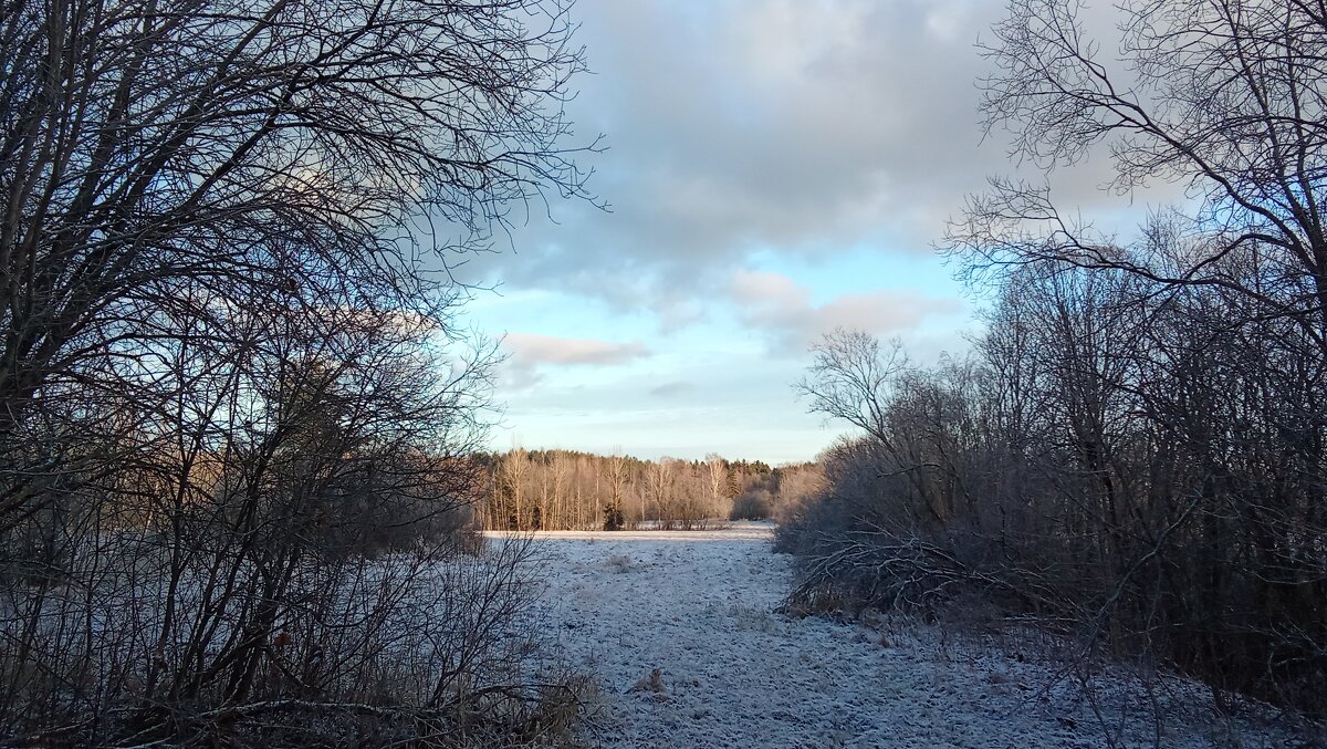 *** - Ольга Попова (popova/j2011)