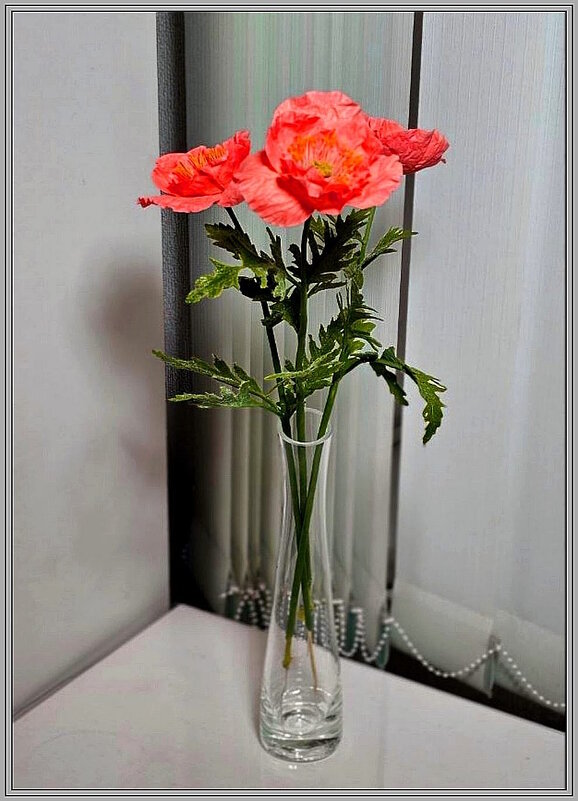 Маки - Ольга Довженко