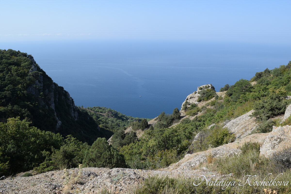 Природа Крыма - Amazing Cosmea Природа Крыма - Amazing Cosmea