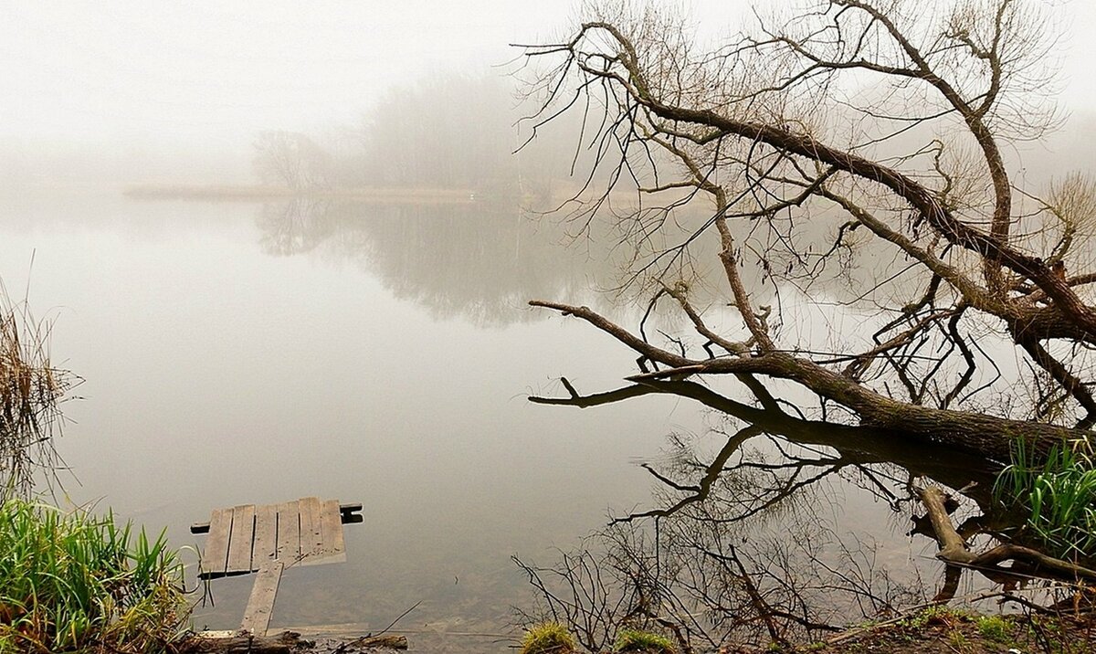 ...Туманное утро...Пруд в Мокве. - Александр Герасенков ...Туманное утро...Пруд в Мокве. - Александр Герасенков