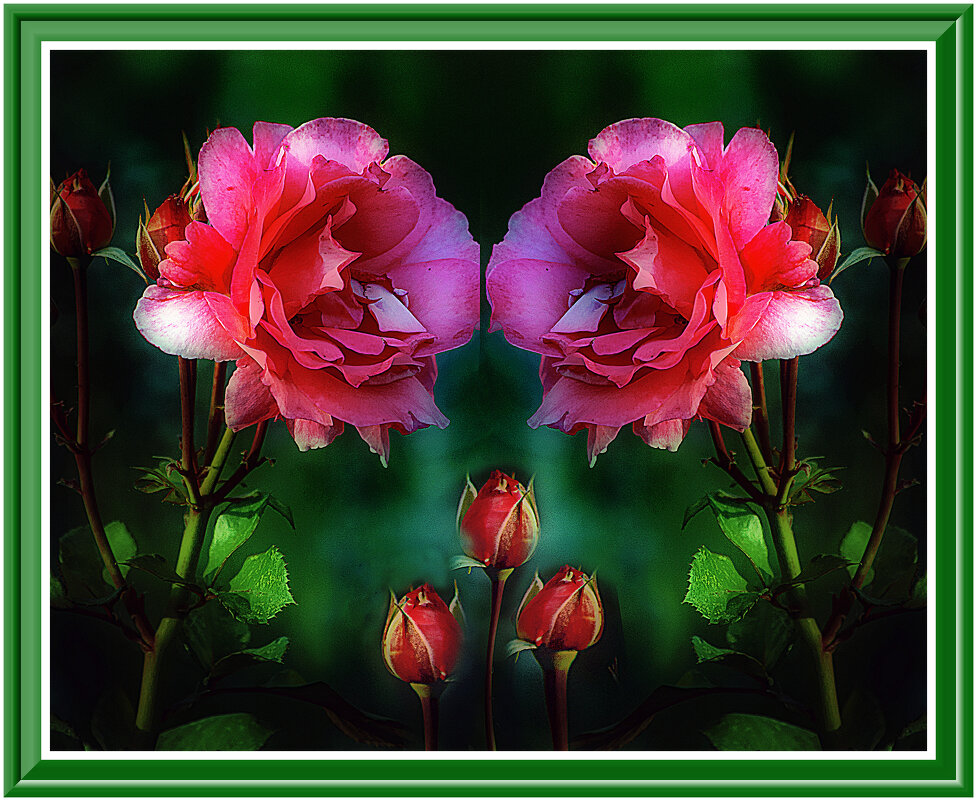 Сладкая парочка - Владимир Кроливец