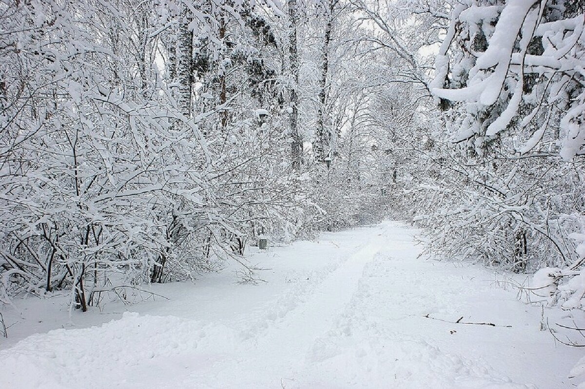В парке - Галина Нестратова