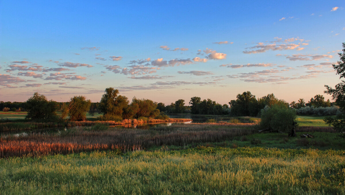 Утро. - Александр. AVG100 ---