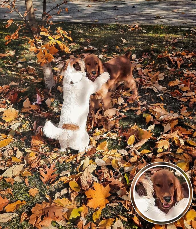 Эти двое точно что-то замышляют. - Оксана Федосова