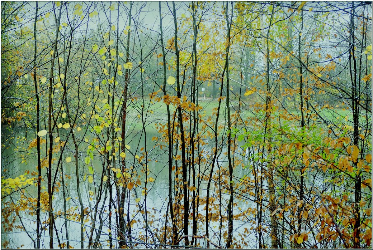 ЭТЮД... - Elvira E. 