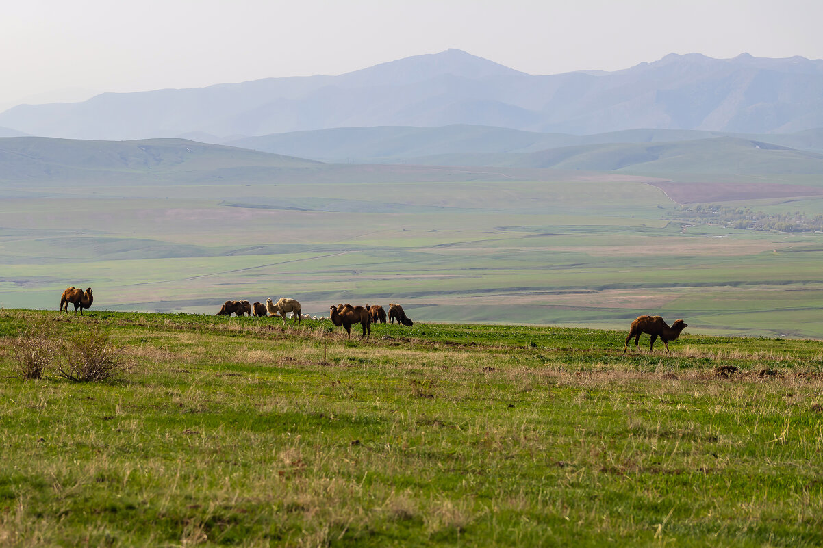 Казахстан. Шымкент. - Андрей Щукин Казахстан. Шымкент. - Андрей Щукин