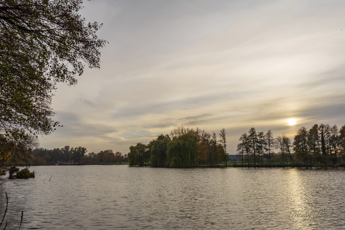Солнце осени... - Николай Гирш