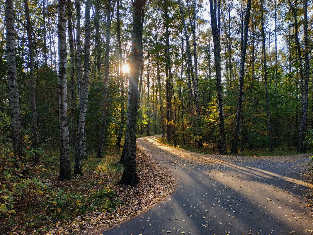 А почему бы и не вспомнить?! - Андрей Лукьянов А почему бы и не вспомнить?! - Андрей Лукьянов