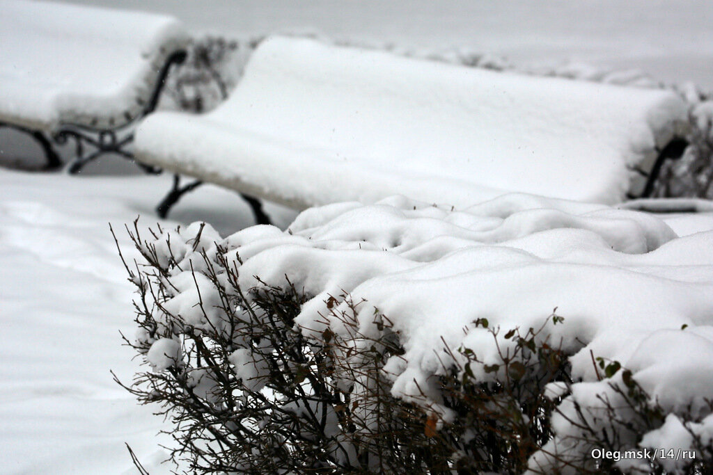 оттенки зимушки - Олег Лукьянов оттенки зимушки - Олег Лукьянов