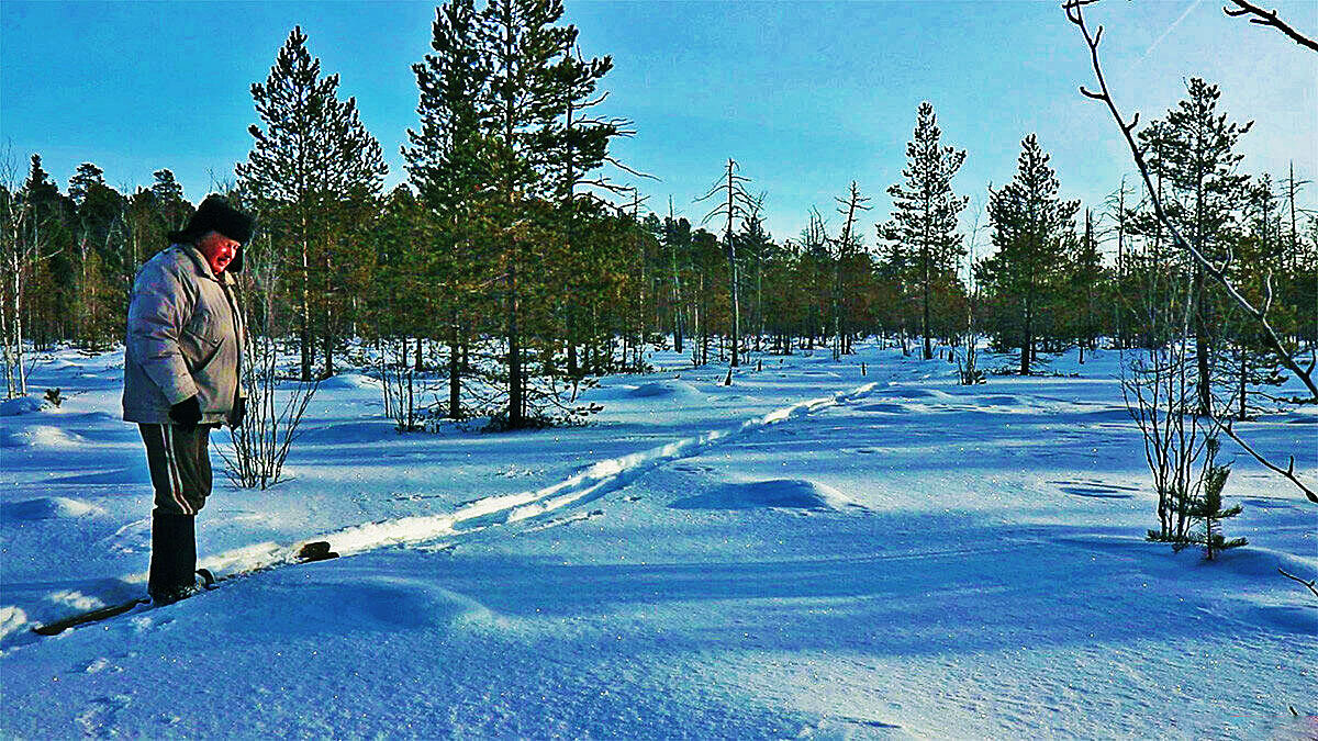 Январь...Моя лыжня! - Владимир 