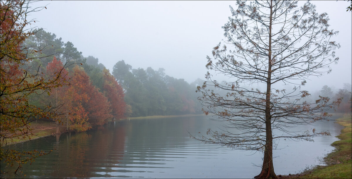 Утро - **** vedin