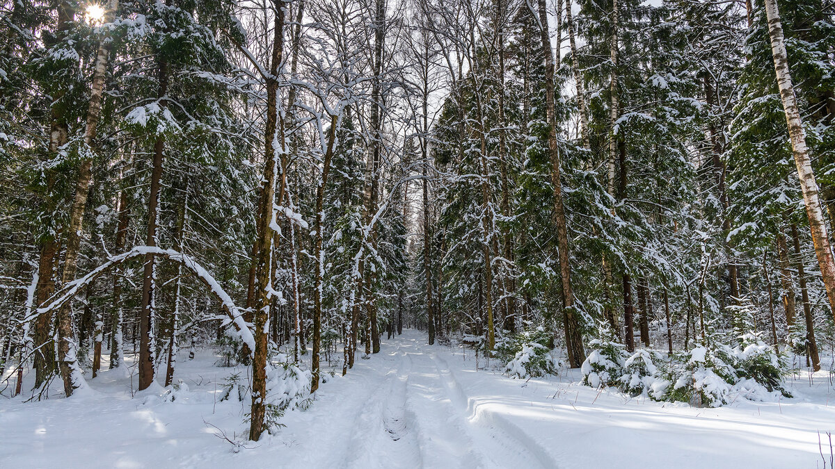 Зимний пейзаж - Владимир Лазарев