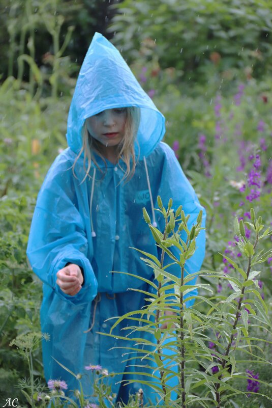 Прогулка под дождем - Любовь Сахарова