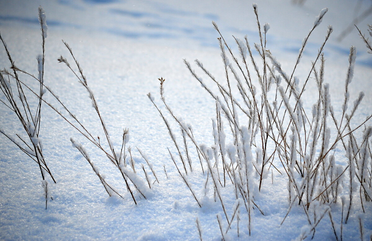 Зимние фантазии - Татьяна Лютаева