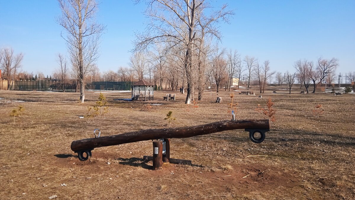 март в парке - Елена Шаламова