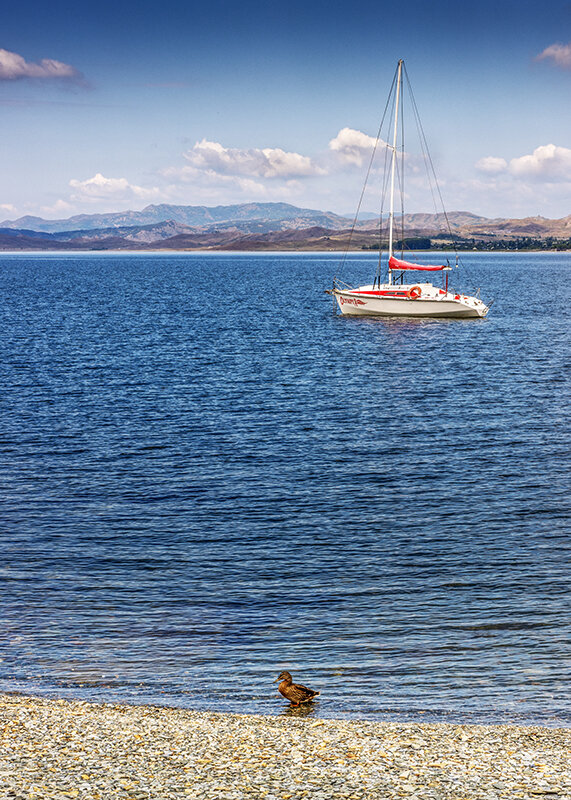 Яхт Клуб - Дмитрий 
