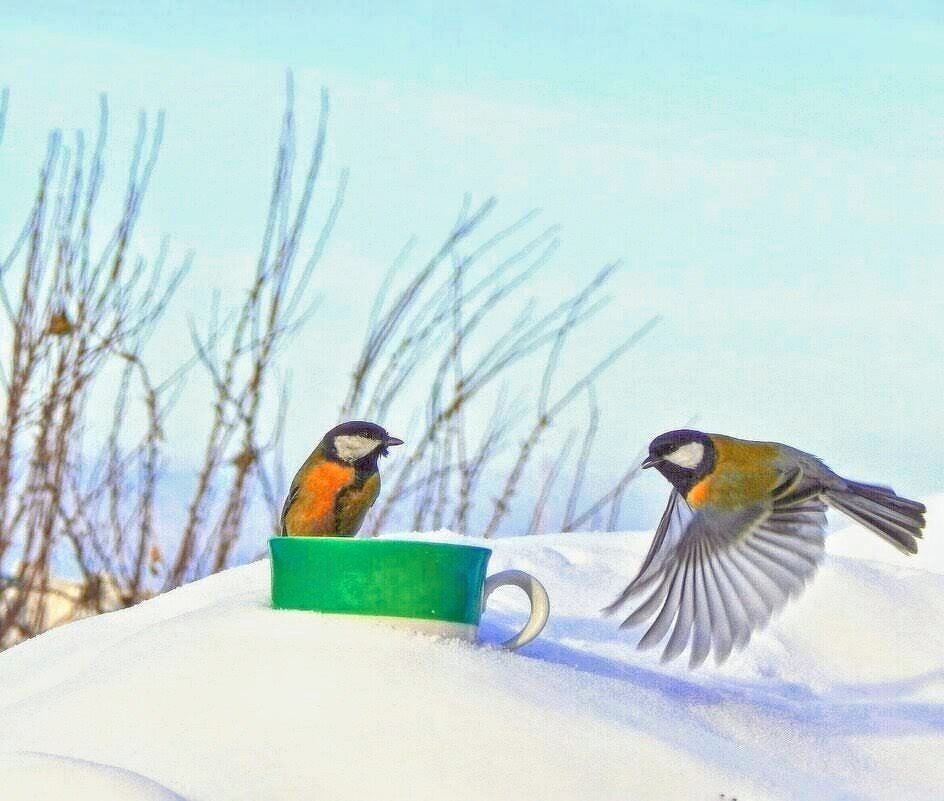 Кавалер с бородой приглашает ... даму с веером ... ) ) - Елена Хайдукова ( Elena Fly ) Кавалер с бородой приглашает ... даму с веером ... ) ) - Елена Хайдукова ( Elena Fly )